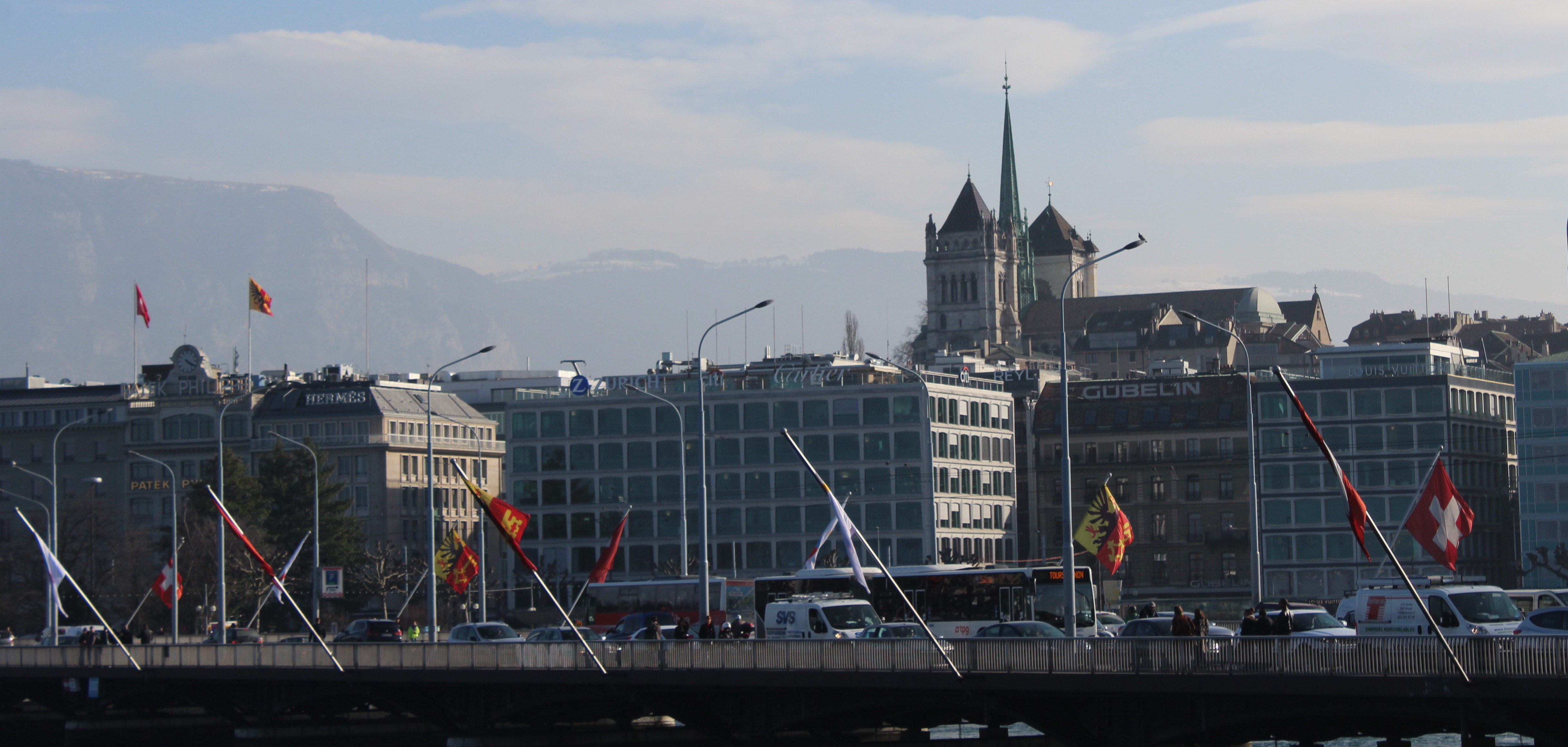 Geneva march 2015, RLU